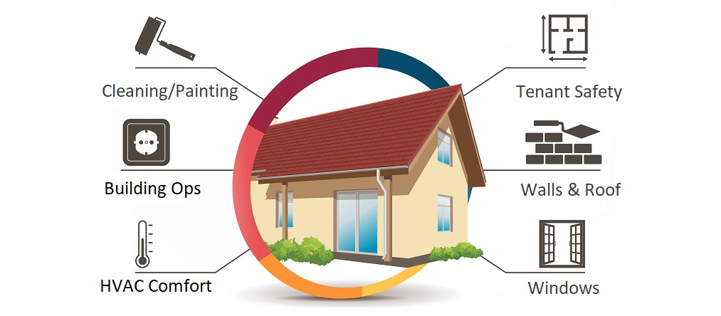 Mirror Cleaning & Antifog