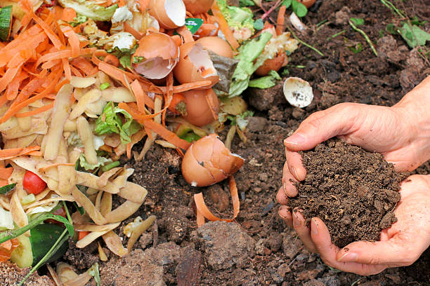 Residential Food Scrap Composting