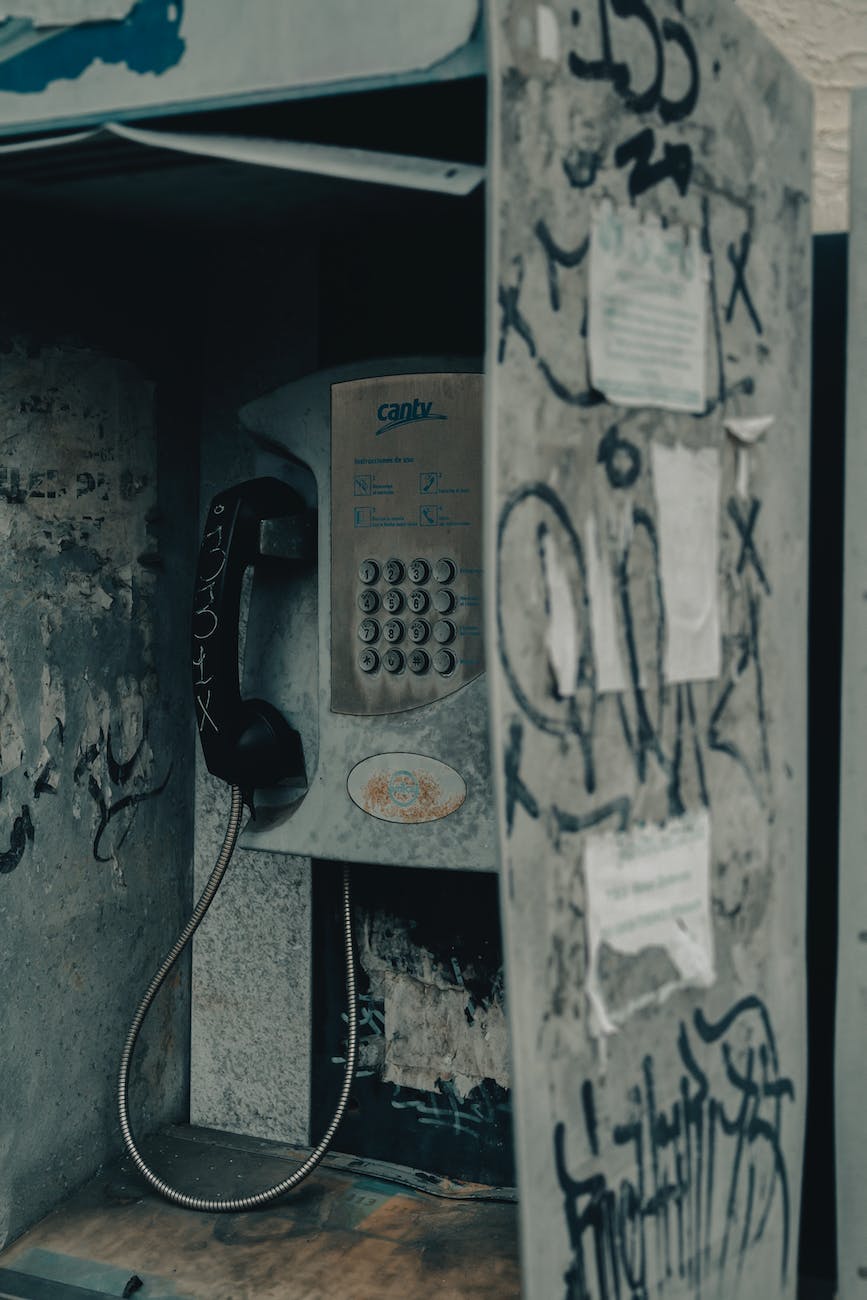 Buying the Country Out from Under Us